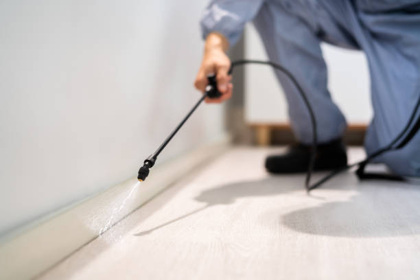 Licensed Pest Control service in Sturgis, MI - Show Me Pest Control