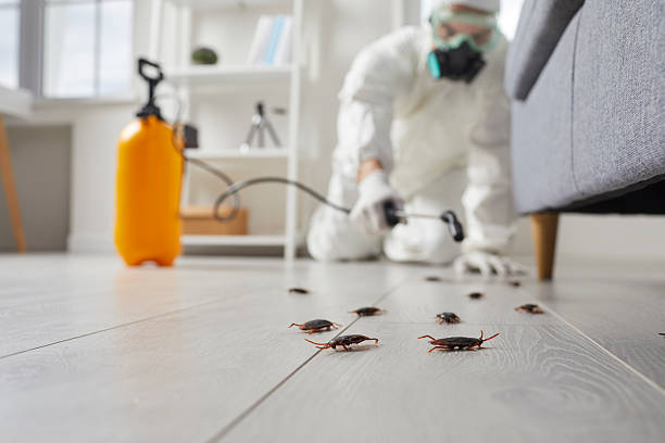 Commercial Rodent Management in Sturgis